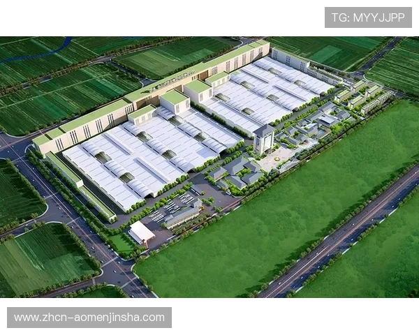 分析金沙河面业集团在品牌建设和市场推广中的成功经验与营销策略